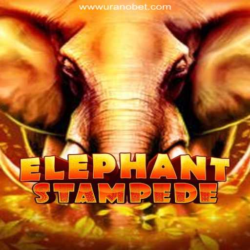 Discover the Thrilling Adventure of ElephantStampede on Uranobet.COM